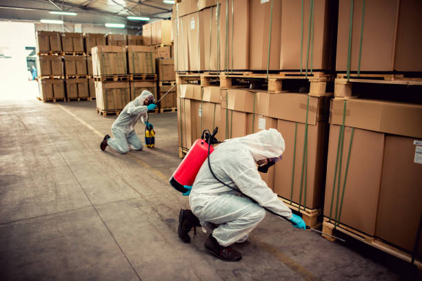 Trusted Desoto, TX Pest Control Experts