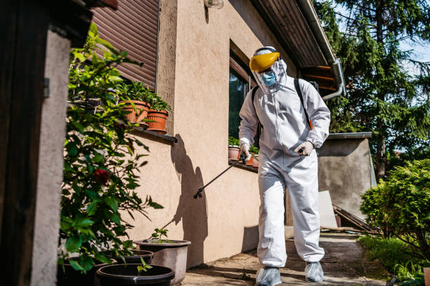 Best Rat Extermination Near Me  in Desoto, TX
