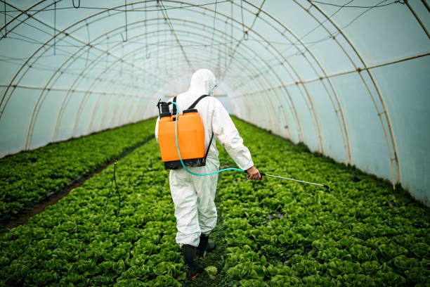 Best Pest Control Near Me  in Desoto, TX