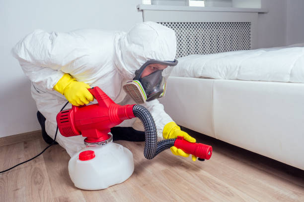 Best Pest Control Near Me in Desoto, TX