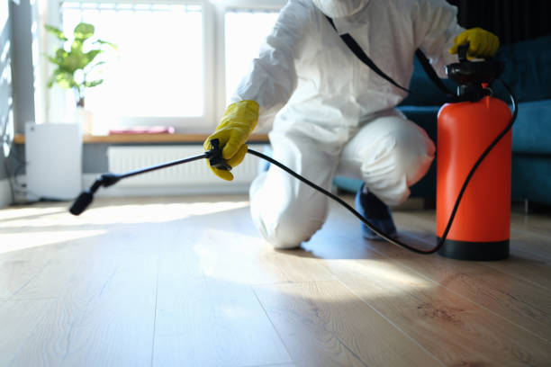 Best Best Pest Control Companies  in Desoto, TX