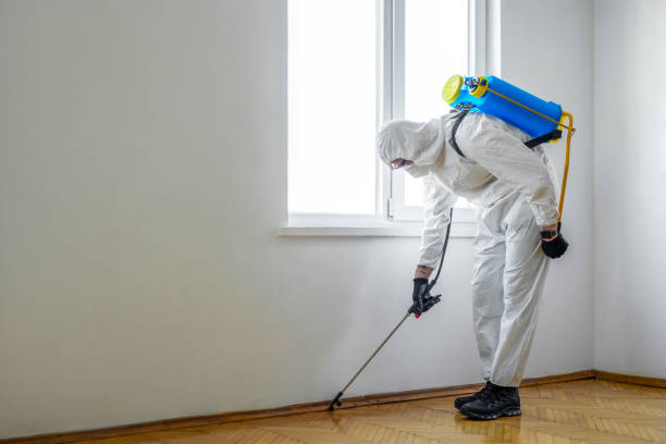 Best Wildlife Control Services  in Desoto, TX