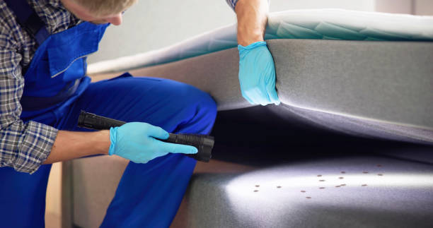 Best Cockroach Control Services  in Desoto, TX