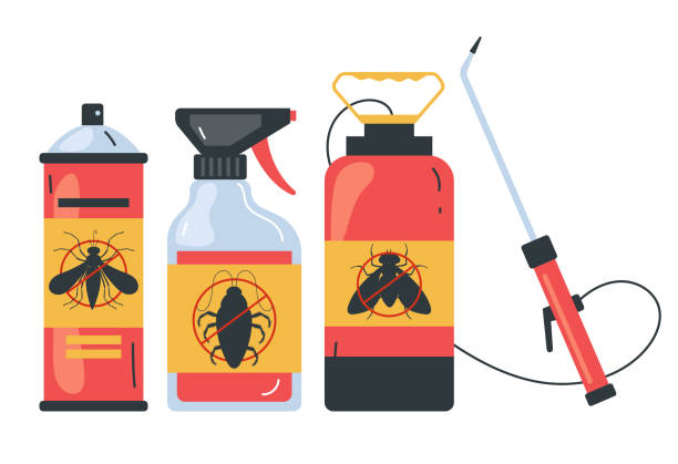 Best Spider Control Near Me  in Desoto, TX