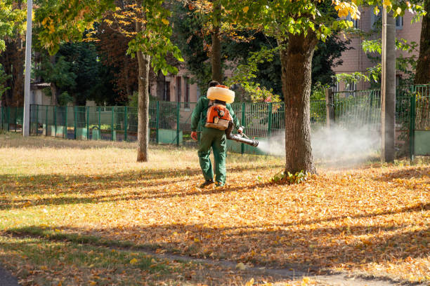 Best Pest Inspection Near Me  in Desoto, TX