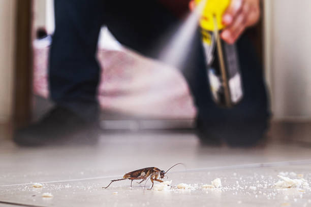 Best Emergency Pest Control  in Desoto, TX