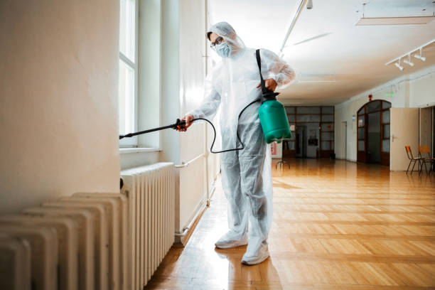 Best Bed Bug Extermination  in Desoto, TX