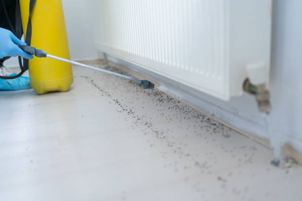 Best Exterminator Services  in Desoto, TX